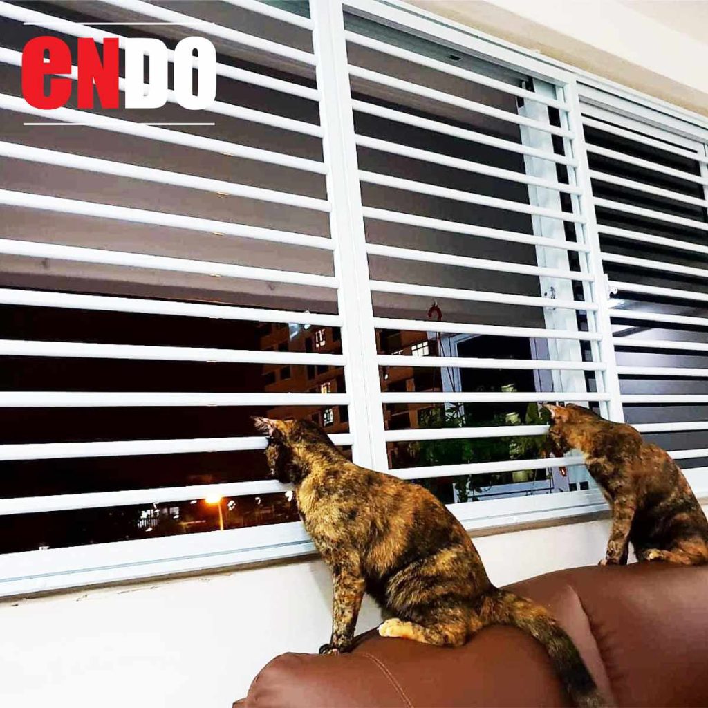 Two cats on sofa looking through aluminium window grille at night