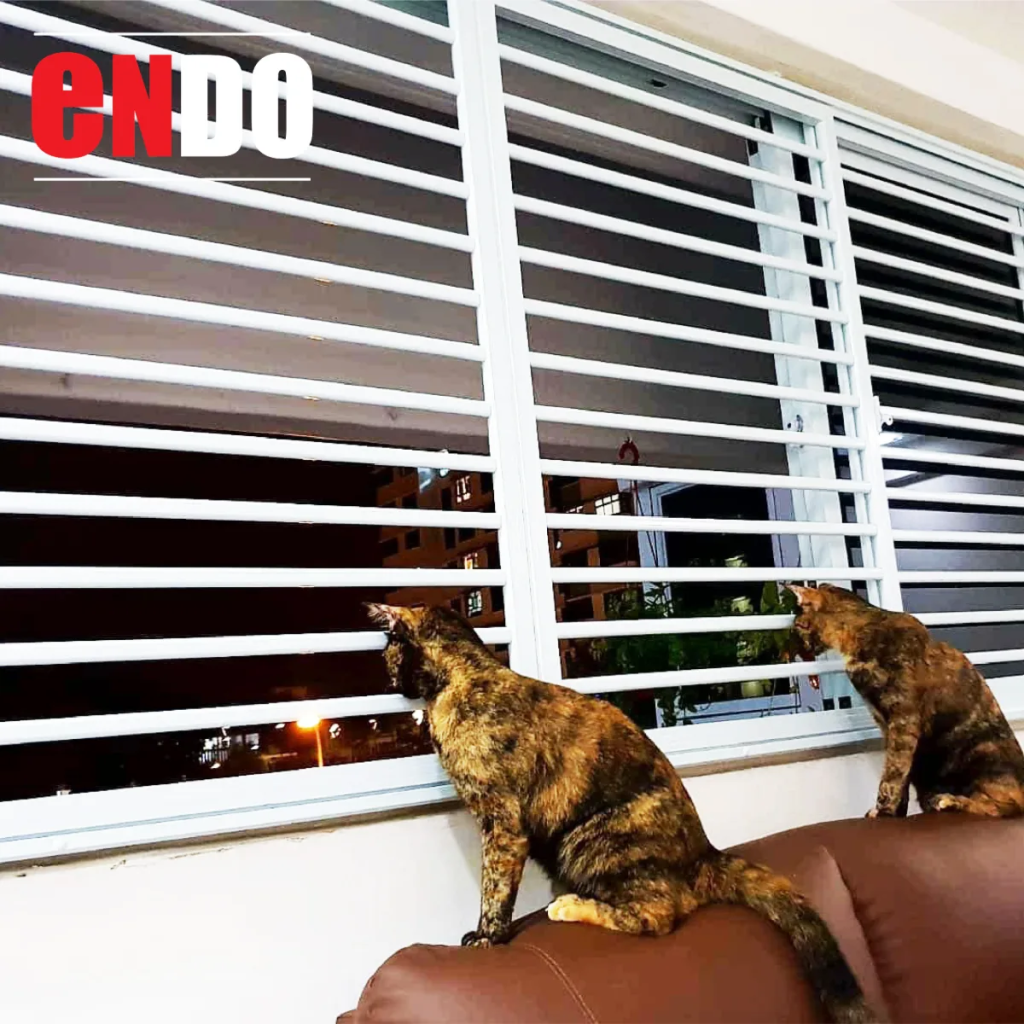 Two cats at a white aluminium window grille in an HDB flat, Singapore