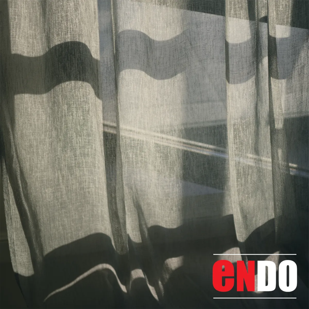 Grey Sheer Day Curtain